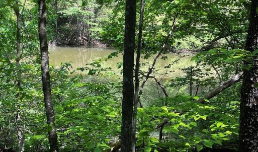 Photo #6 of Virgilina, Cana, VA 0.8 acres