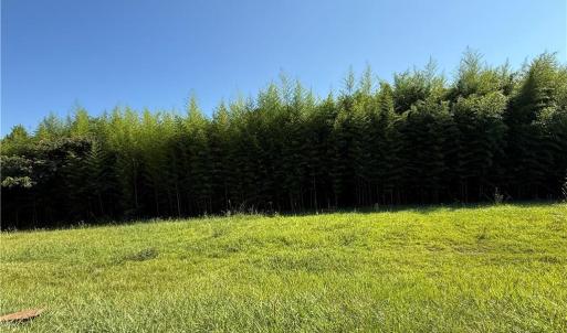 Photo #2 of US Highway 311, Sophia, NC 4.1 acres