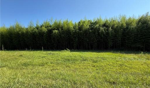 Photo #3 of US Highway 311, Sophia, NC 4.1 acres