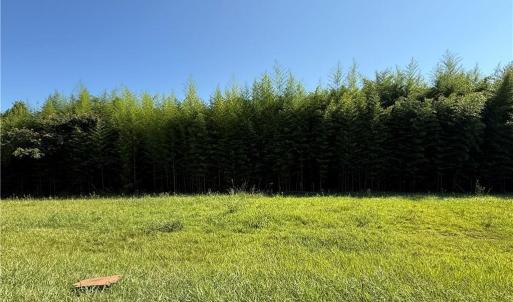 Photo #1 of US Highway 311, Sophia, NC 4.1 acres