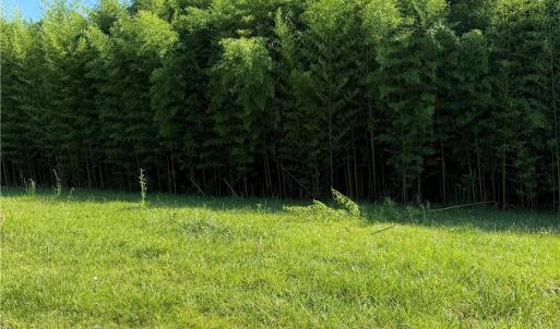 Photo #5 of US Highway 311, Sophia, NC 4.1 acres