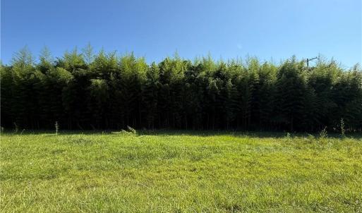 Photo #4 of US Highway 311, Sophia, NC 4.1 acres