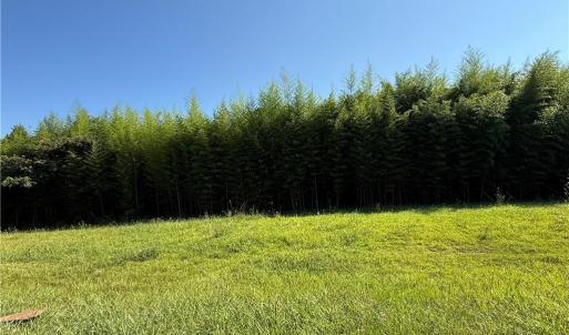 Photo #2 of US Highway 311, Sophia, NC 4.1 acres