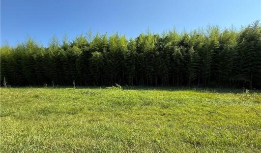 Photo #3 of US Highway 311, Sophia, NC 4.1 acres
