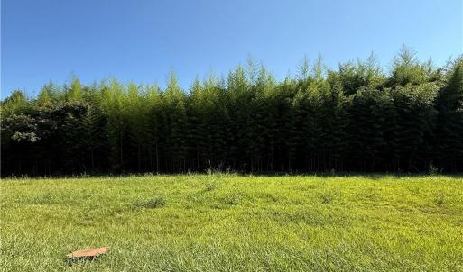 Photo #1 of US Highway 311, Sophia, NC 4.1 acres