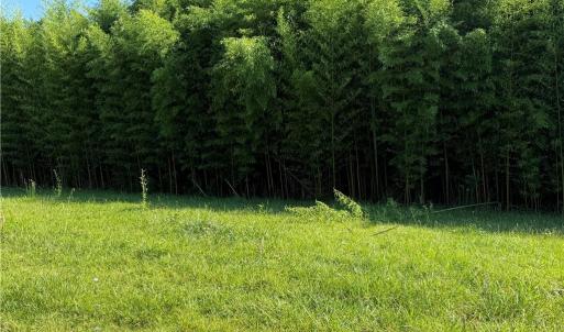 Photo #5 of US Highway 311, Sophia, NC 4.1 acres