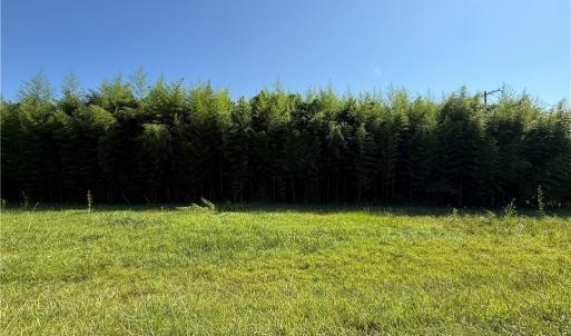 Photo #4 of US Highway 311, Sophia, NC 4.1 acres
