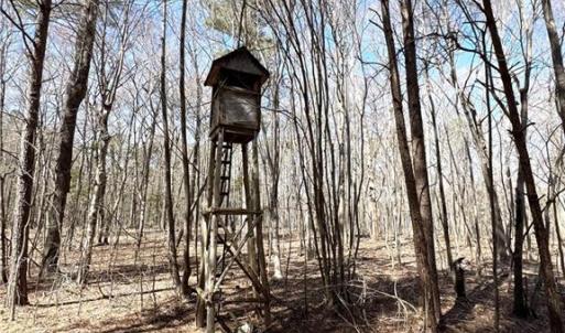 Photo #2 of Nicks, Mebane, NC 19.9 acres