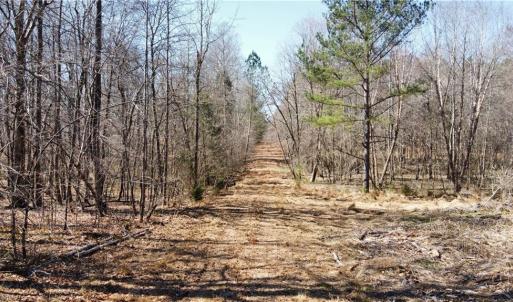 Photo #1 of Nicks, Mebane, NC 19.9 acres