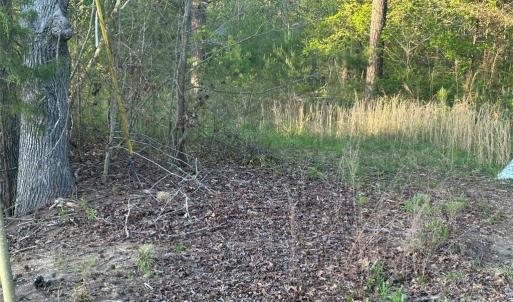 Photo #28 of 11155 & 11165 US Highway 52, Rockwell, NC 8.5 acres