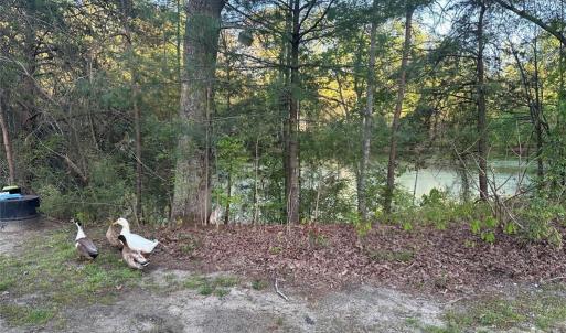 Photo #30 of 11155 & 11165 US Highway 52, Rockwell, NC 8.5 acres