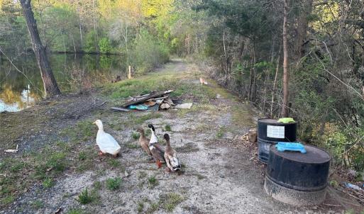 Photo #34 of 11155 & 11165 US Highway 52, Rockwell, NC 8.5 acres