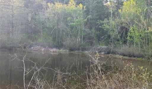 Photo #33 of 11155 & 11165 US Highway 52, Rockwell, NC 8.5 acres
