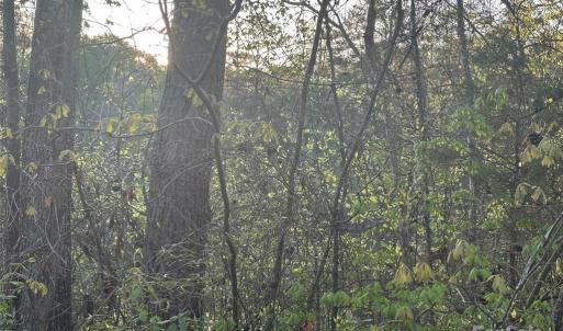 Photo #40 of 11155 & 11165 US Highway 52, Rockwell, NC 8.5 acres