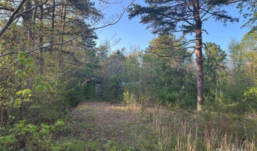 Photo #39 of 11155 & 11165 US Highway 52, Rockwell, NC 8.5 acres