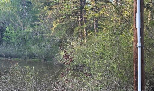 Photo #29 of 11155 & 11165 US Highway 52, Rockwell, NC 8.5 acres