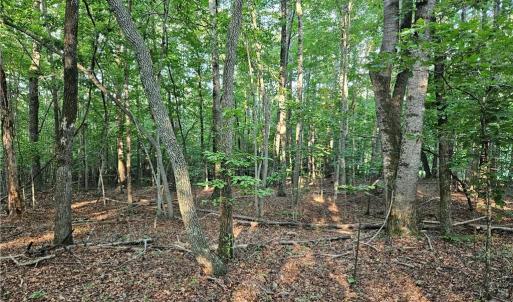 Photo #6 of Gravitte, Pilot Mountain, NC 1.6 acres