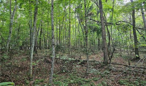 Photo #13 of Gravitte, Pilot Mountain, NC 1.6 acres