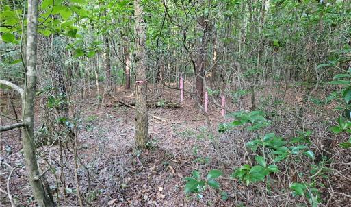 Photo #12 of Gravitte, Pilot Mountain, NC 1.6 acres