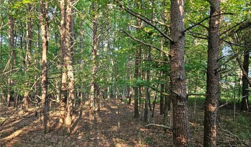 Photo #3 of Gravitte, Pilot Mountain, NC 1.6 acres