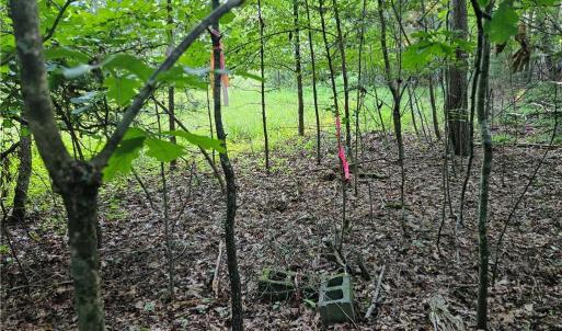 Photo #9 of Gravitte, Pilot Mountain, NC 1.6 acres