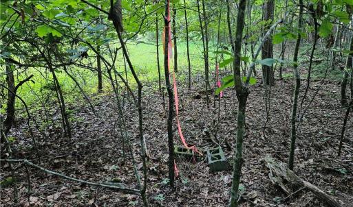 Photo #10 of Gravitte, Pilot Mountain, NC 1.6 acres