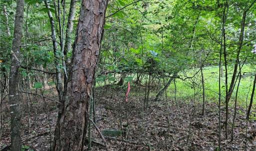 Photo #8 of Gravitte, Pilot Mountain, NC 1.6 acres