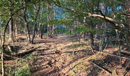 Photo #13 of NC Highway 268, Pilot Mountain, NC 7.2 acres