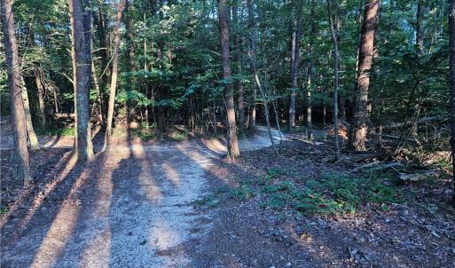 Photo #16 of NC Highway 268, Pilot Mountain, NC 7.2 acres