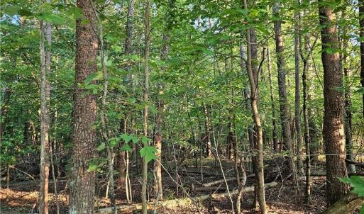 Photo #9 of NC Highway 268, Pilot Mountain, NC 7.2 acres