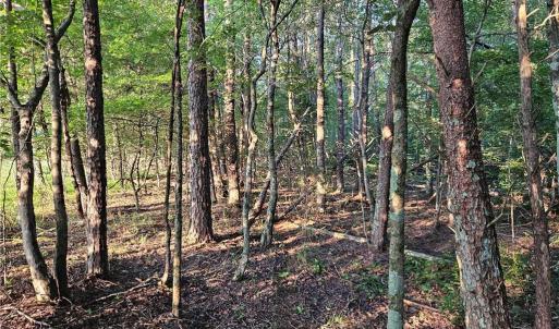 Photo #10 of NC Highway 268, Pilot Mountain, NC 7.2 acres