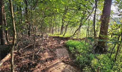 Photo #14 of NC Highway 268, Pilot Mountain, NC 7.2 acres