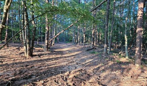 Photo #15 of NC Highway 268, Pilot Mountain, NC 7.2 acres