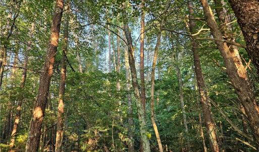 Photo #11 of NC Highway 268, Pilot Mountain, NC 7.2 acres