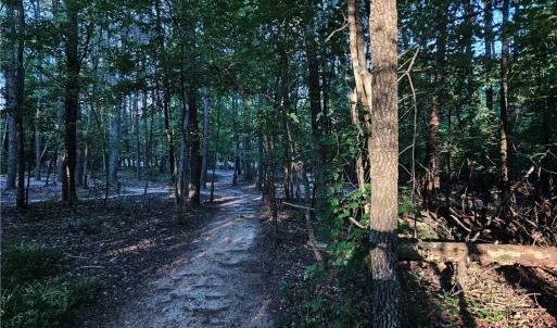 Photo #19 of NC Highway 268, Pilot Mountain, NC 7.2 acres
