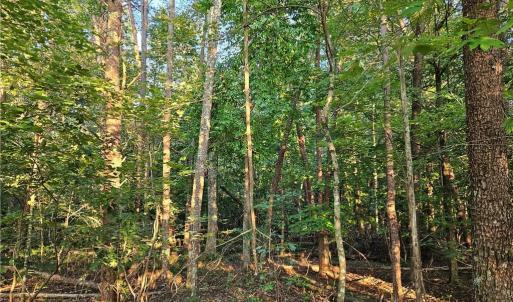 Photo #8 of NC Highway 268, Pilot Mountain, NC 7.2 acres