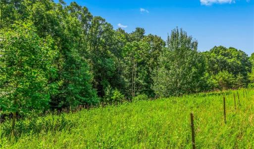 Photo #23 of Mills, Mount Airy, NC 13.0 acres