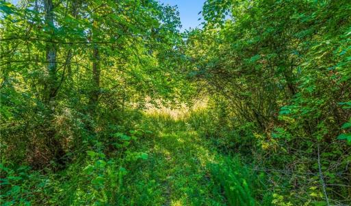 Photo #27 of Mills, Mount Airy, NC 13.0 acres