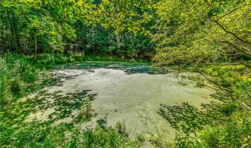 Photo #13 of Mills, Mount Airy, NC 13.0 acres