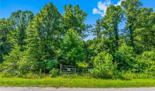 Photo #17 of Mills, Mount Airy, NC 13.0 acres
