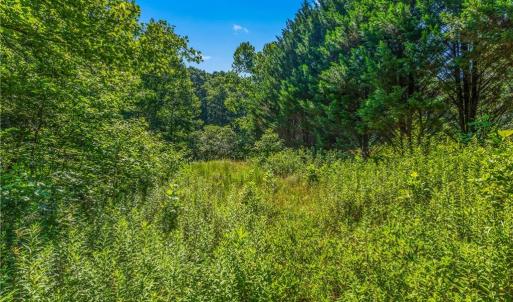 Photo #16 of Mills, Mount Airy, NC 13.0 acres