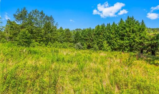 Photo #12 of Mills, Mount Airy, NC 13.0 acres