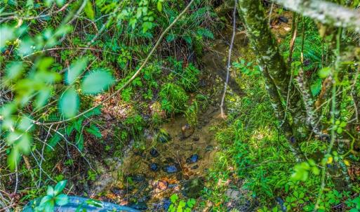 Photo #28 of Mills, Mount Airy, NC 13.0 acres