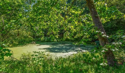 Photo #14 of Mills, Mount Airy, NC 13.0 acres