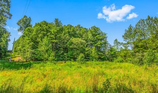 Photo #15 of Mills, Mount Airy, NC 13.0 acres