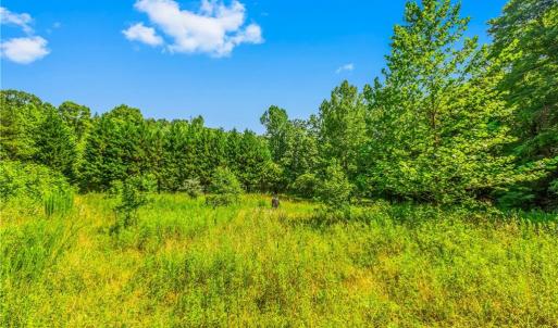 Photo #11 of Mills, Mount Airy, NC 13.0 acres