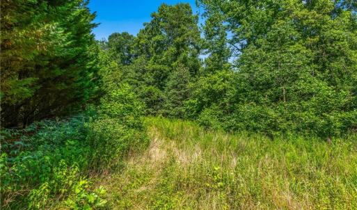 Photo #29 of Mills, Mount Airy, NC 13.0 acres