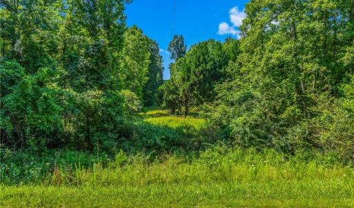 Photo #25 of Mills, Mount Airy, NC 13.0 acres