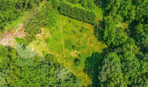 Photo #21 of Mills, Mount Airy, NC 13.0 acres