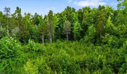 Photo #21 of Weavil, Winston-Salem, NC 9.2 acres